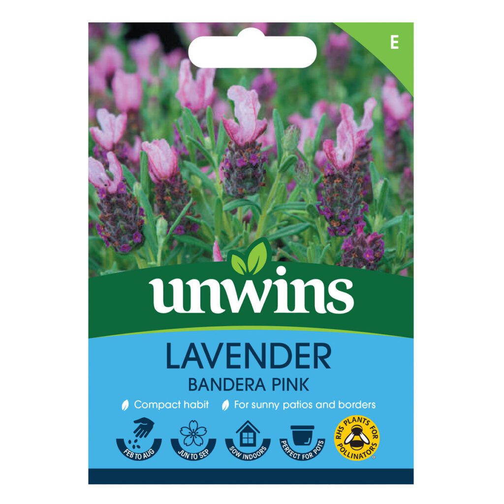 Unwins Lavender Bandera Deep Pink Seeds 5051618016124 2